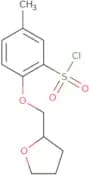5-Methyl-2-(oxolan-2-ylmethoxy)benzene-1-sulfonyl chloride