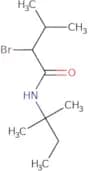 2-Bromo-3-methyl-N-(2-methylbutan-2-yl)butanamide