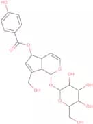 6-o-p-Hydroxybenzoylaucubin