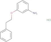 3-(Phenethyloxy)aniline hydrochloride