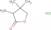 3-Amino-4,4-dimethyloxolan-2-one hydrochloride