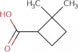 2,2-Dimethylcyclobutane-1-carboxylic acid
