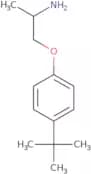 1-(2-Aminopropoxy)-4-tert-butylbenzene