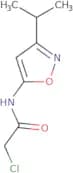 2-Chloro-N-[3-(propan-2-yl)-1,2-oxazol-5-yl]acetamide