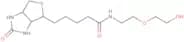 N-[2-(2-Hydroxyethoxy)ethyl]-biotinamide