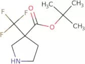 tert-Butyl 3-(trifluoromethyl)pyrrolidine-3-carboxylate