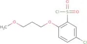 5-Chloro-2-(3-methoxypropoxy)benzene-1-sulfonyl chloride
