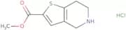 Methyl 4,5,6,7-tetrahydrothieno[3,2-c]pyridine-2-carboxylate hydrochloride