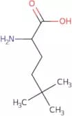 2-Amino-5,5-dimethylhexanoic acid