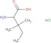 2-Amino-3,3-dimethylpentanoic acid hydrochloride