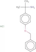 2-[4-(Benzyloxy)phenyl]propan-2-amine hydrochloride