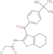 N-[3-(4-tert-Butylbenzoyl)-4,5,6,7-tetrahydro-1-benzothiophen-2-yl]-2-chloroacetamide