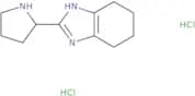 2-(Pyrrolidin-2-yl)-4,5,6,7-tetrahydro-1H-1,3-benzodiazole dihydrochloride