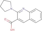 2-(Pyrrolidin-1-yl)quinoline-3-carboxylic acid
