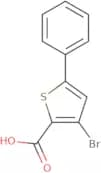 3-Bromo-5-phenylthiophene-2-carboxylic acid