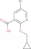 5-Bromo-2-(cyclopropylmethoxy)nicotinic acid