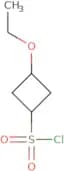 3-Ethoxycyclobutane-1-sulfonyl chloride