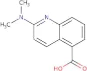2-(Dimethylamino)quinoline-5-carboxylic acid