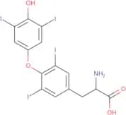 Thyroxine-13C6
