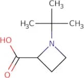 1-tert-Butyl-azetidine-2-carboxylic acid