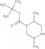 tert-Butyl 2,5-dimethylpiperazine-1-carboxylate