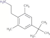 2-(4-tert-Butyl-2,6-dimethylphenyl)ethan-1-amine