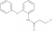 3-Chloro-N-(2-phenoxyphenyl)propanamide