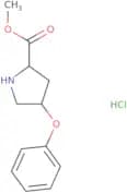 Methyl (2S,4S)-4-phenoxypyrrolidine-2-carboxylate hydrochloride