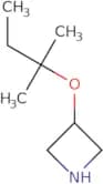 3-[(2-Methylbutan-2-yl)oxy]azetidine