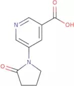 5-(2-Oxopyrrolidin-1-yl)pyridine-3-carboxylic acid