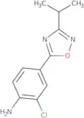2-Chloro-4-[3-(propan-2-yl)-1,2,4-oxadiazol-5-yl]aniline