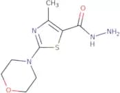 4-Methyl-2-(morpholin-4-yl)-1,3-thiazole-5-carbohydrazide