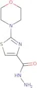2-(Morpholin-4-yl)-1,3-thiazole-4-carbohydrazide