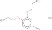 3,4-Dipropoxyaniline hydrochloride