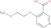 4-(2-Methoxyethoxy)pyridine-3-carboxylic acid