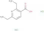 6-(Aminomethyl)-2-ethylpyridine-3-carboxylic acid dihydrochloride