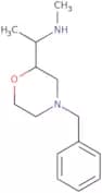 [1-(4-Benzylmorpholin-2-yl)ethyl](methyl)amine