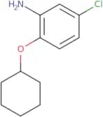 5-Chloro-2-(cyclohexyloxy)aniline