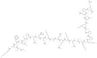 des-Gln14-Ghrelin (rat)