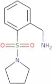 [2-(Pyrrolidine-1-sulfonyl)phenyl]methanamine