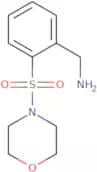 [2-(Morpholine-4-sulfonyl)phenyl]methanamine