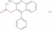 2-(2-Methyl-4-phenylquinolin-3-yl)acetic acid hydrochloride