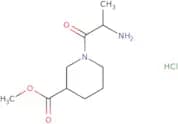 Methyl 1-(2-aminopropanoyl)piperidine-3-carboxylate hydrochloride