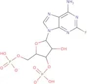 Poly(2'-Fluoro-2'-Deoxyadenylic Acid)