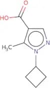 1-Cyclobutyl-5-methyl-1H-pyrazole-4-carboxylic acid
