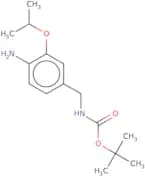 tert-Butyl N-{[4-amino-3-(propan-2-yloxy)phenyl]methyl}carbamate
