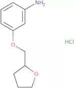 3-(Oxolan-2-ylmethoxy)aniline hydrochloride