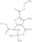 4-tert-Butyl 2-ethyl 5-(2-chloroacetamido)-3-methylthiophene-2,4-dicarboxylate
