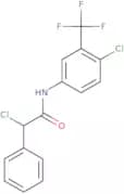 2-Chloro-N-[4-chloro-3-(trifluoromethyl)phenyl]-2-phenylacetamide