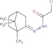 2-Chloro-N'-{1,7,7-trimethylbicyclo[2.2.1]heptan-2-ylidene}acetohydrazide